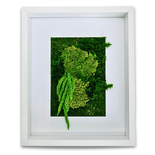 MOSS BOSS | 8 x 10 inch