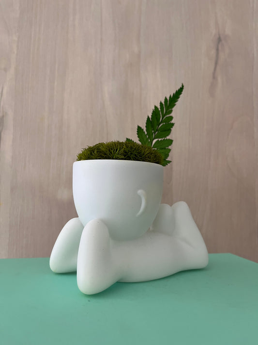 MOSSY DESK BUDDIES