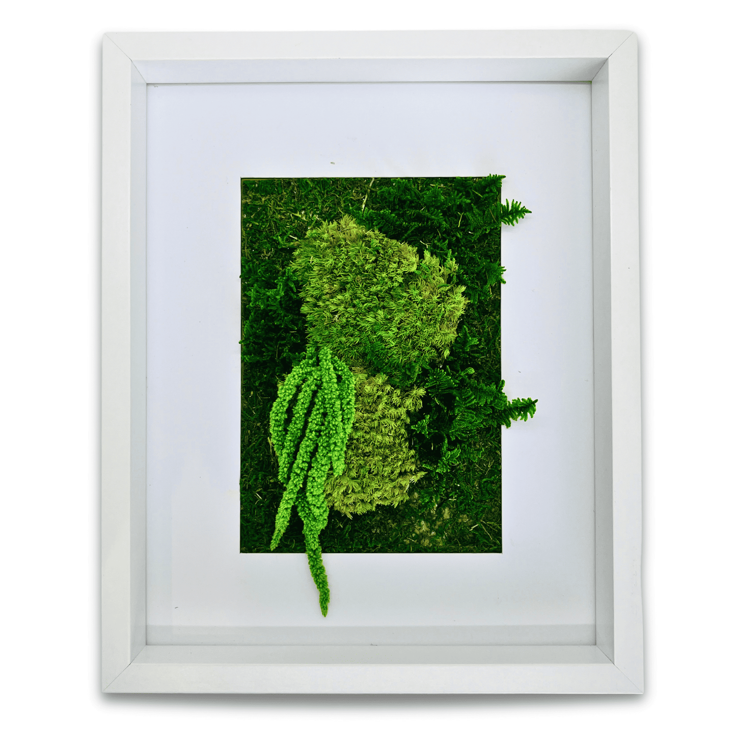 8in x 10in Moss Art (350mm x 280mm)