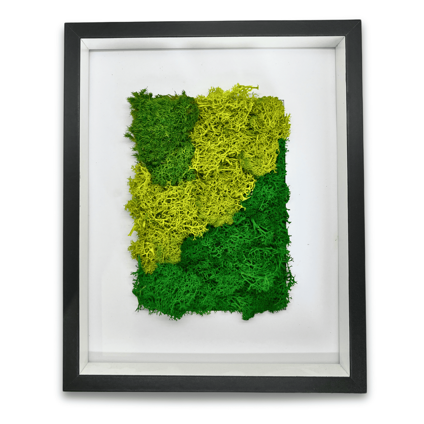 8in x 10in Moss Art (350mm x 280mm)