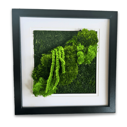 8in x 8in Moss Art (250mm x 250mm)