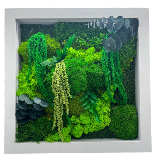 Big Leaf Energy | 12 x 12 inch