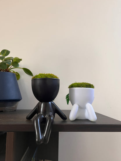 MOSSY DESK BUDDIES
