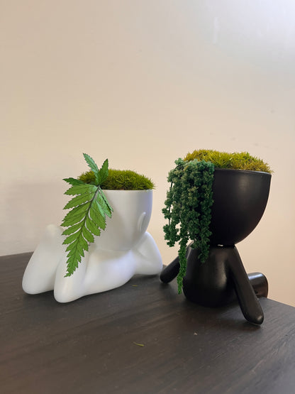 MOSSY DESK BUDDIES