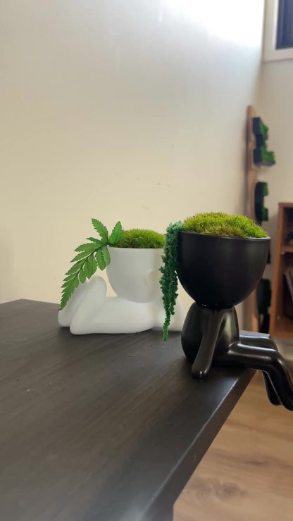 MOSSY DESK BUDDIES